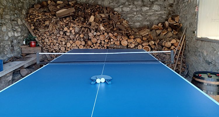ping-pong